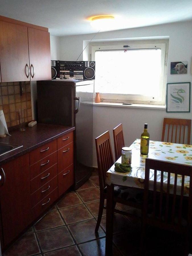 לאסצה Apartma Pr' Vok מראה חיצוני תמונה