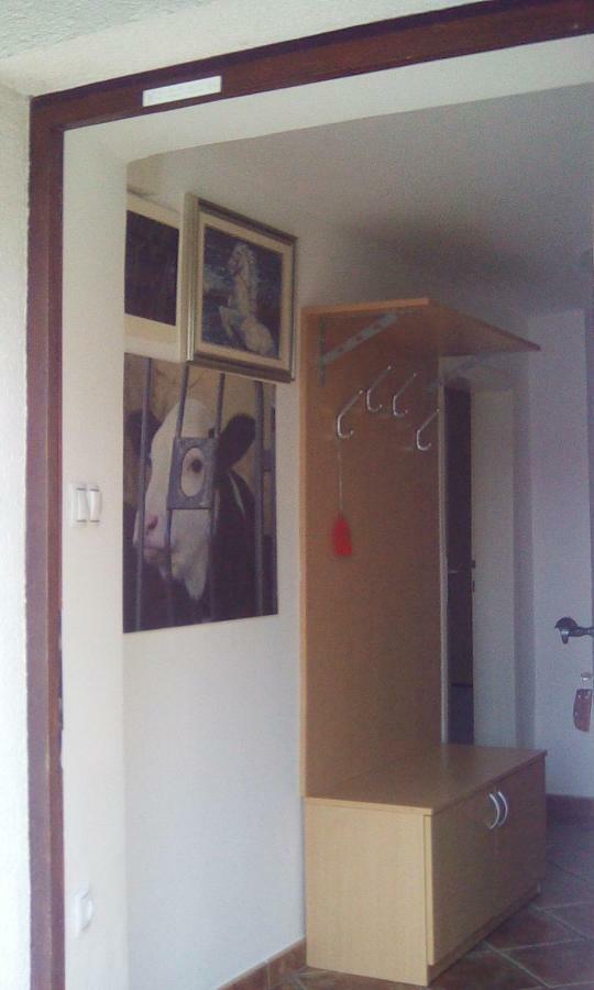 לאסצה Apartma Pr' Vok מראה חיצוני תמונה