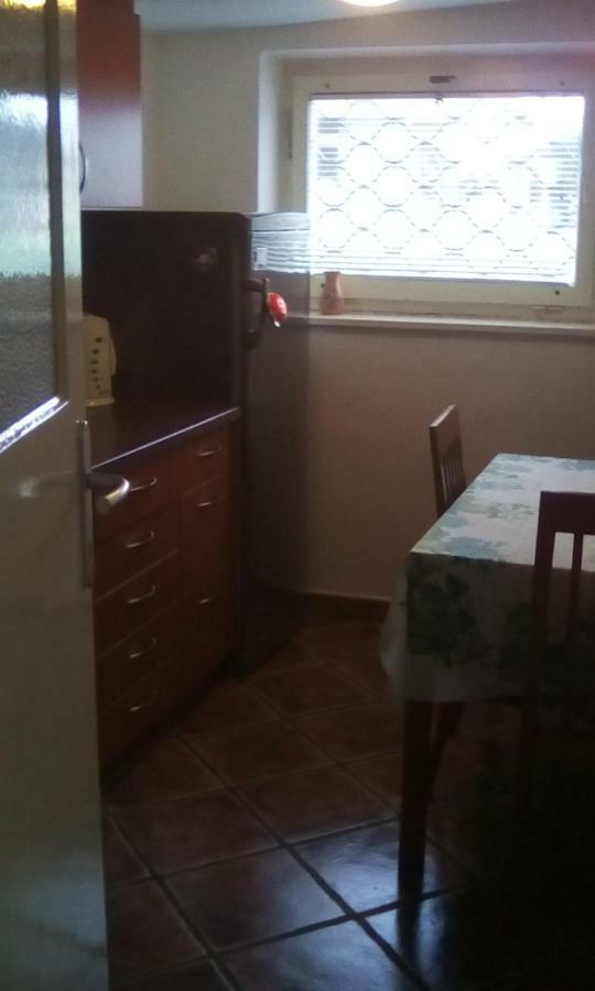 לאסצה Apartma Pr' Vok מראה חיצוני תמונה