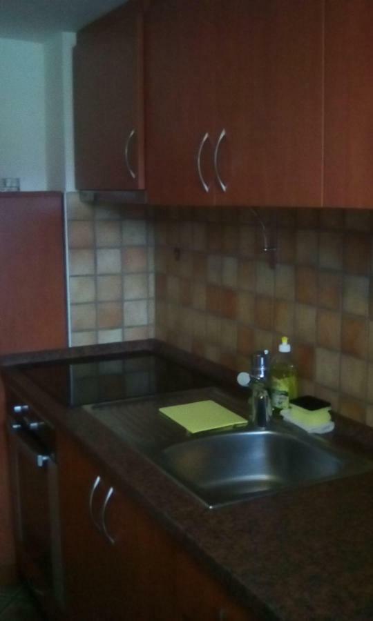 לאסצה Apartma Pr' Vok מראה חיצוני תמונה