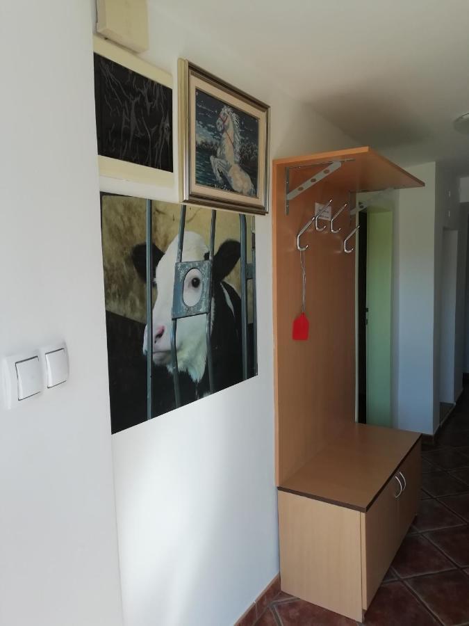 לאסצה Apartma Pr' Vok מראה חיצוני תמונה